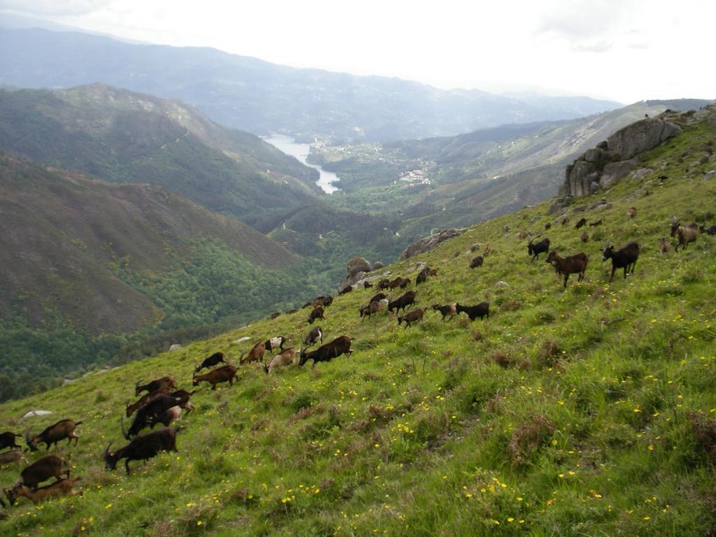 Vila Casa Sulfato Campo do Geres Exteriér fotografie